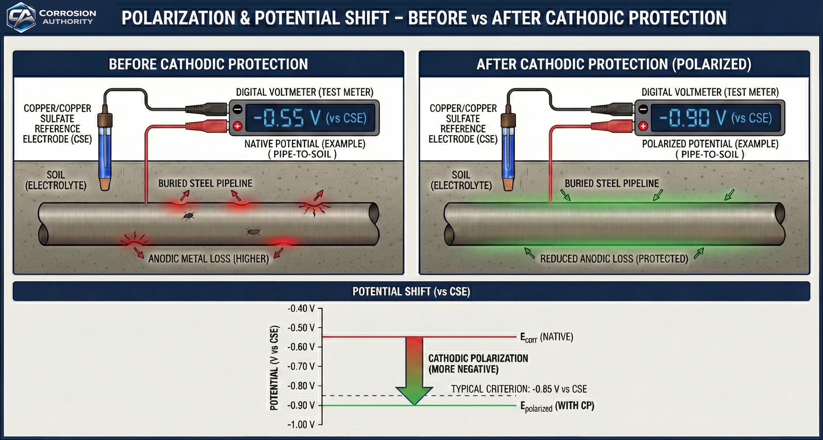 Polarization and potential shift diagram showing native potential versus polarized potential using a reference electrode measurement.